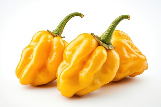 Yellow Scotch Bonnet - 6kg Box
