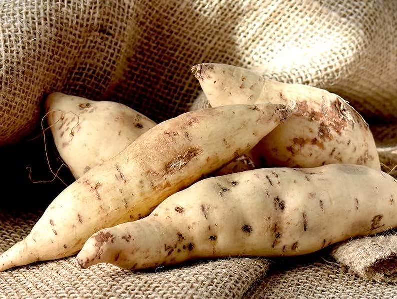 Sweet Potatoes - White