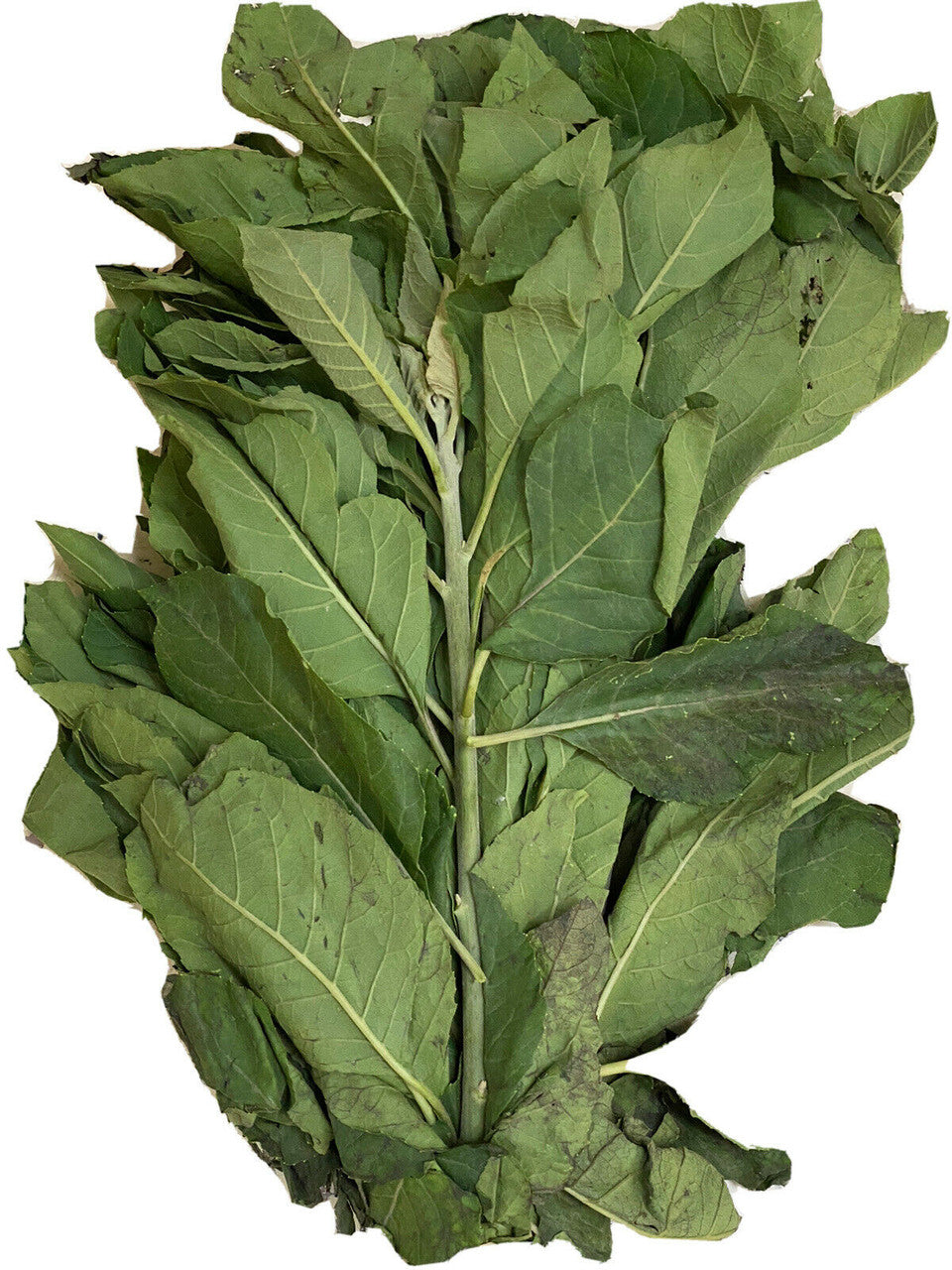 Vegetable - Bitter Leaves