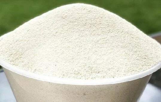 White Ijebu Garri