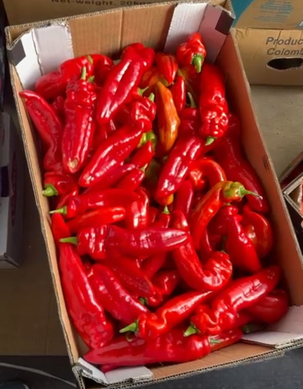 Long Red Pepper - Large Box