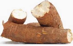 Cassava Tubers