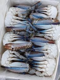 Frozen half cut crab
