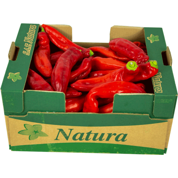 Long Red Pepper- small box