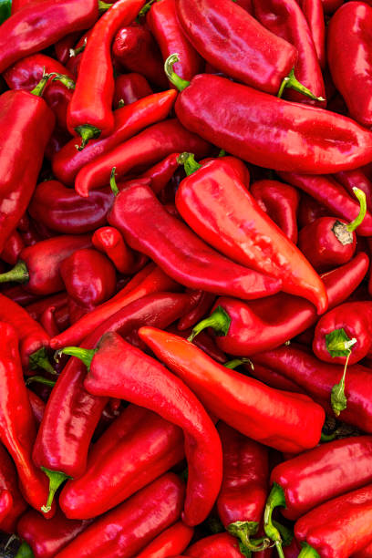 Long Red Pepper - Large Box