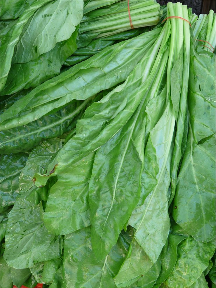 Vegetables - Spinach (Spain) Box