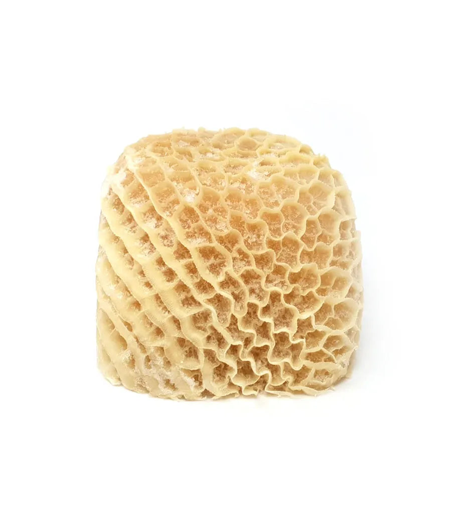 Honeycomb