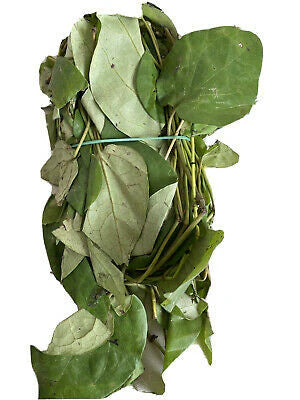 Vegetable - Uziza Leaf